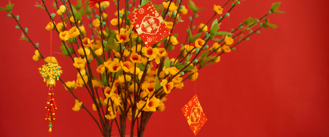 Red envelopes hanging on blooming peach tree with best CNY wishes